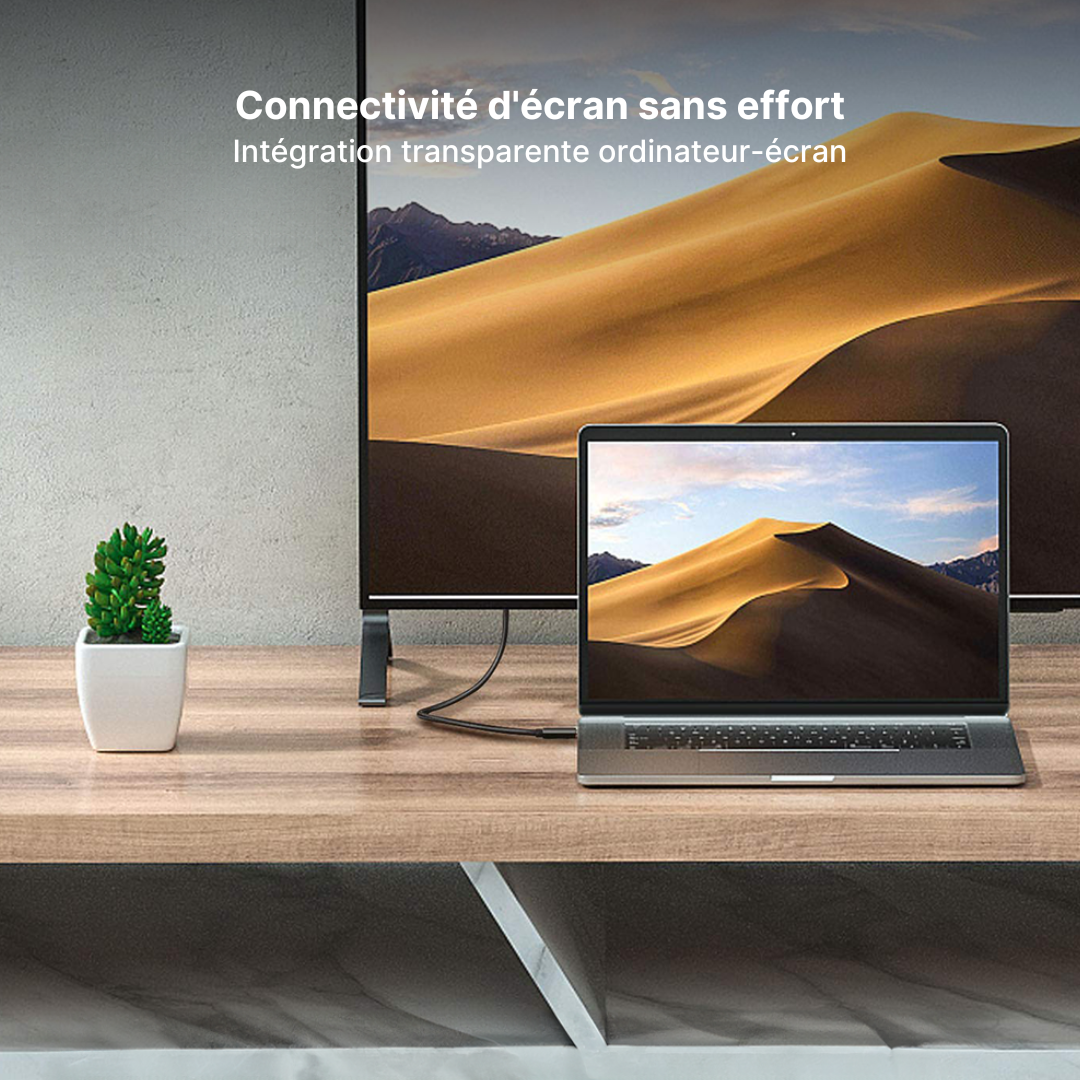 Câble Type-C vers Type-C 60W
