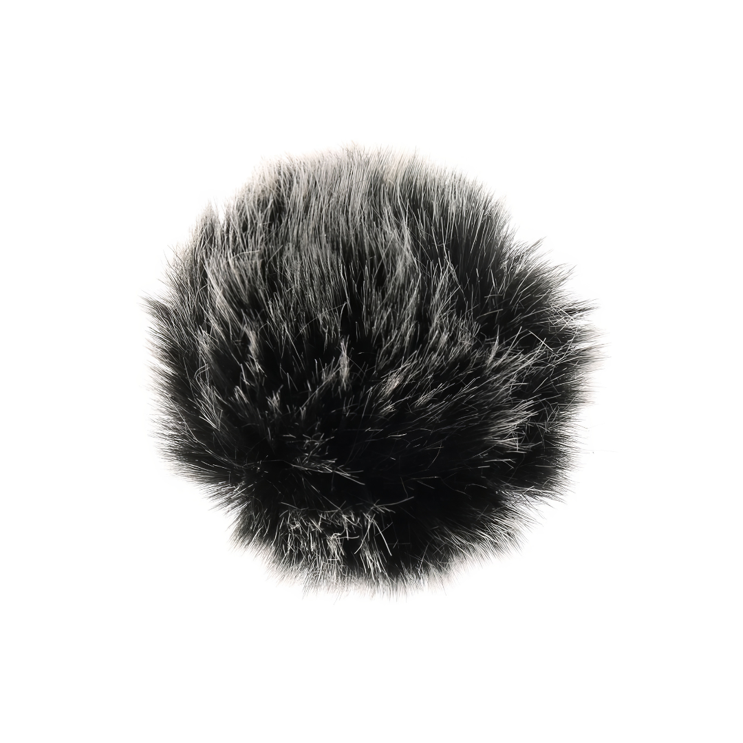 Protection anti-vent pour microphone