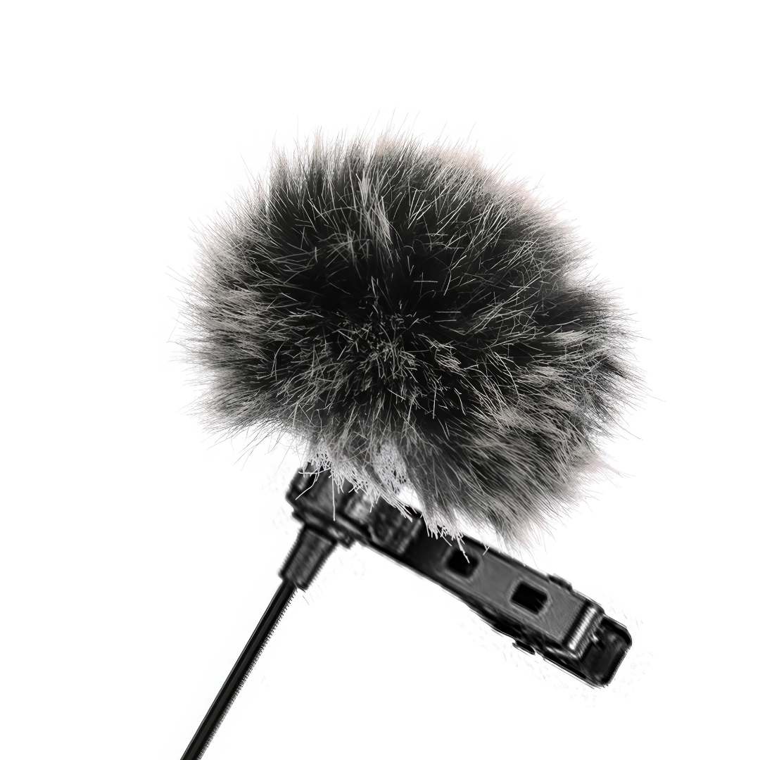 Protection anti-vent pour microphone