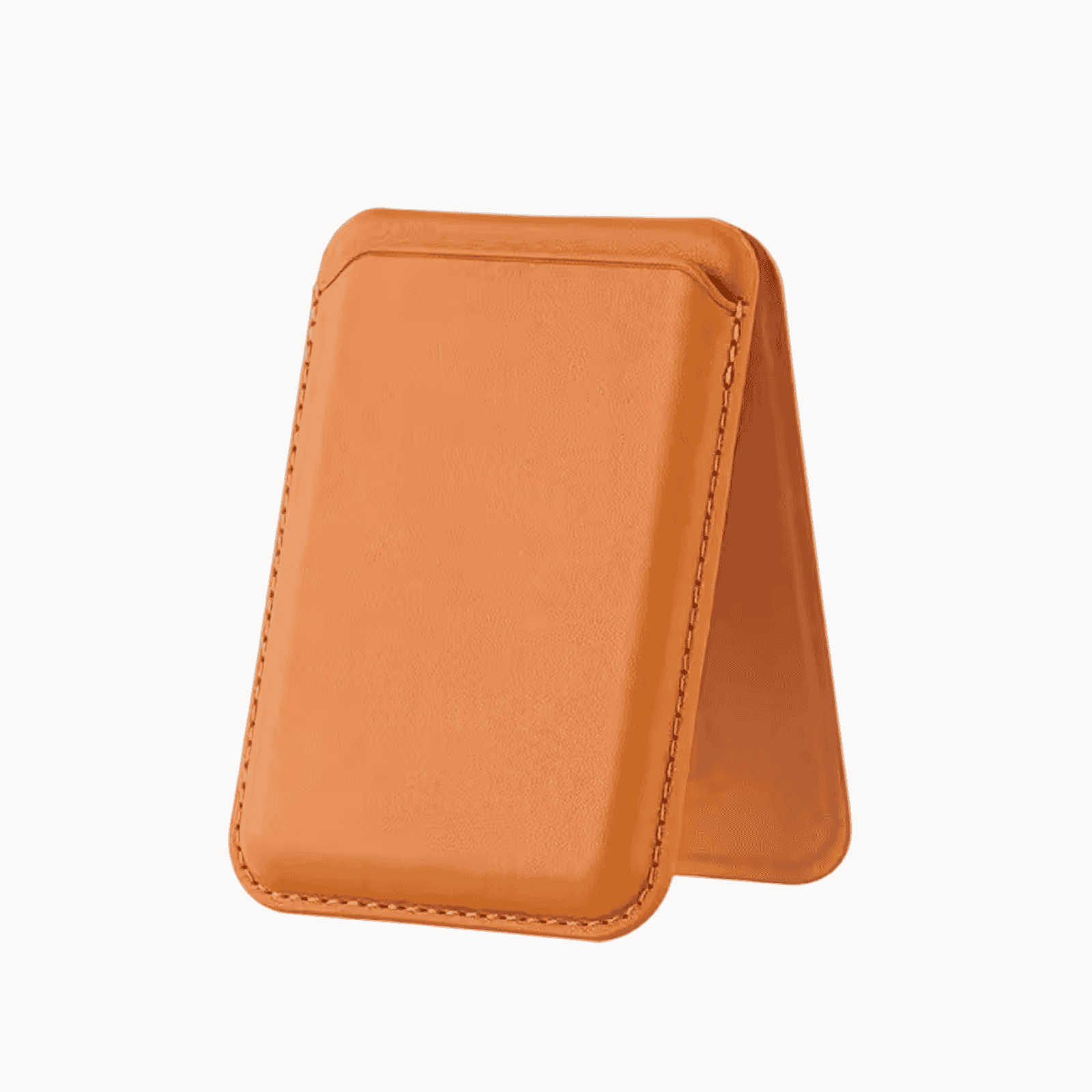 Portefeuille MagCarry